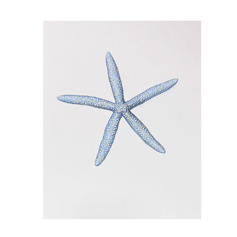 Jill Amadei, Blue Starfish, 2023