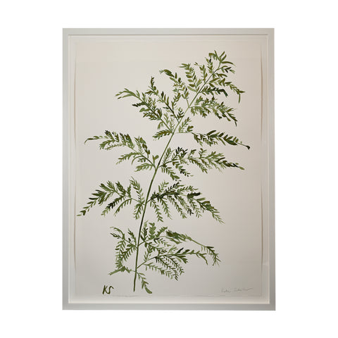 Kate Schelter, Fern Maine