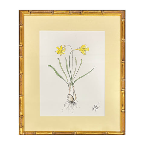 Lia Burke Libaire, Daffodils with Bulbs