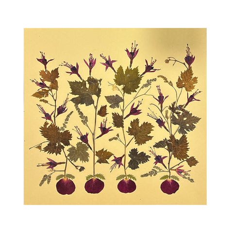 Marian McEvoy, Grape Leaves with Rose Petals Collage