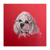 Custom Petite Pet Portrait by Alexis England