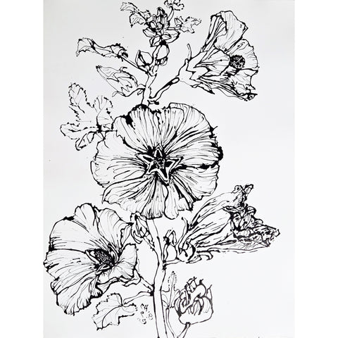 Christian Brechneff,  Black and White Hollyhock I
