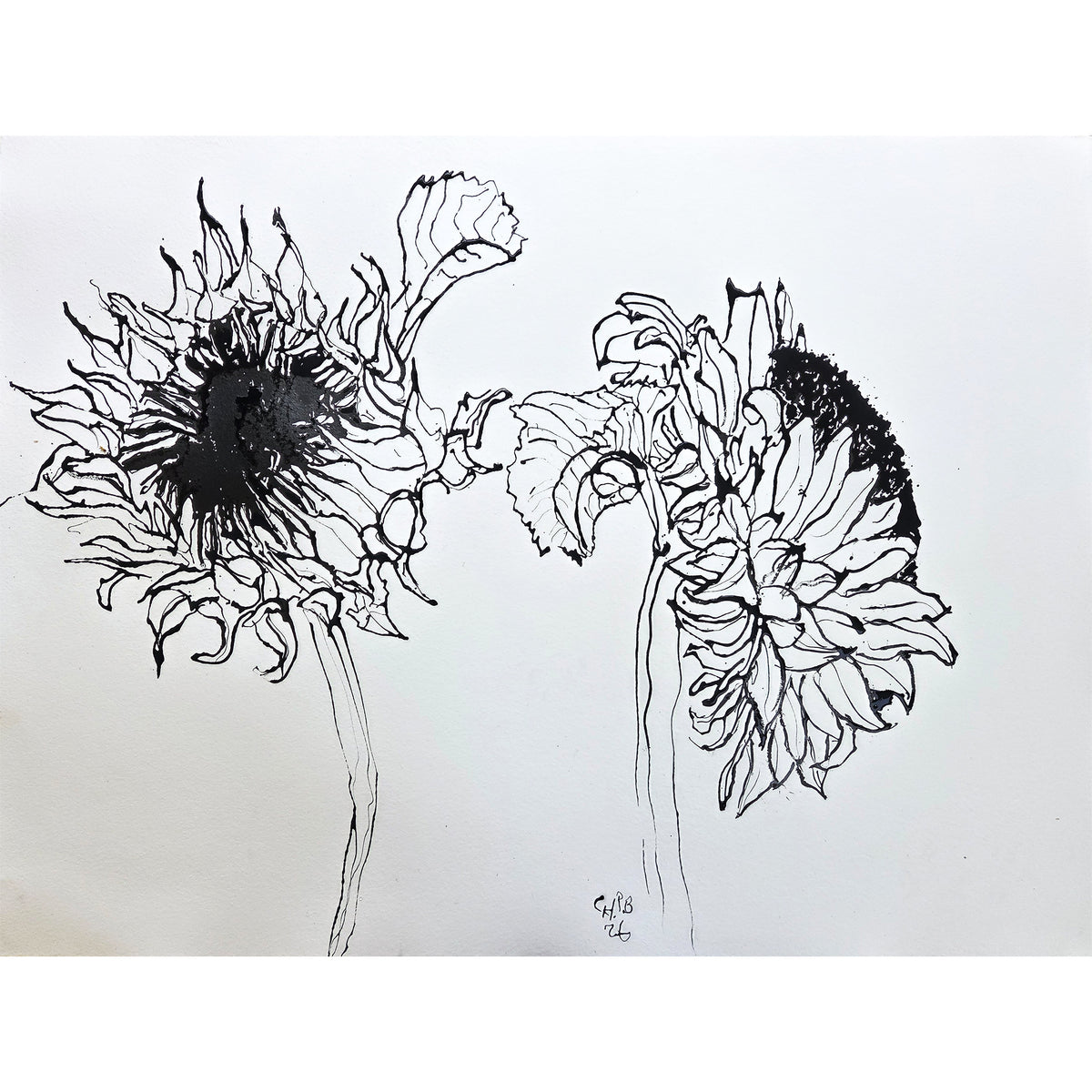 Christian Brechneff, Black and White Sunflower