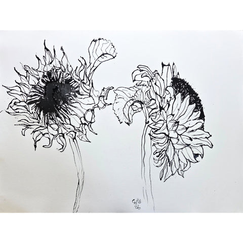 Christian Brechneff, Black and White Sunflower