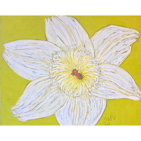 Christian Brechneff,  Daffodil Pastel on Chartreuse