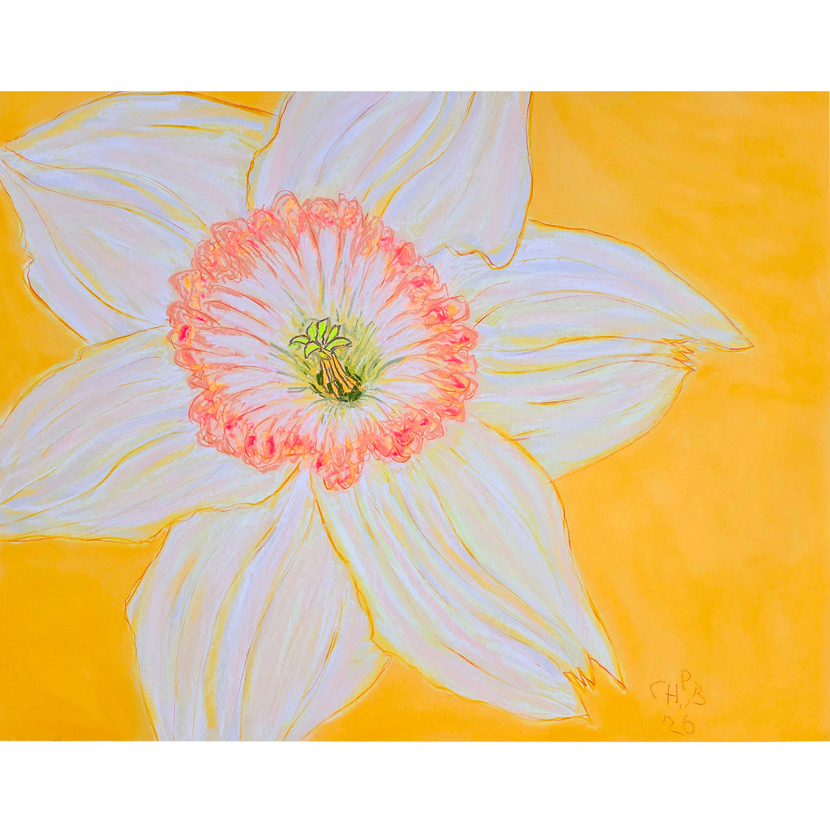 Christian Brechneff,  Daffodil Pastel on Egg Yolk Yellow