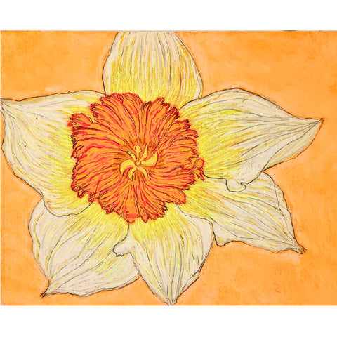 Christian Brechneff,  Daffodil Pastel with Pink