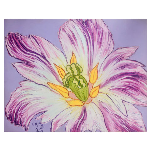 Christian Brechneff,  Fuchsia Tulip Pastel on Lilac