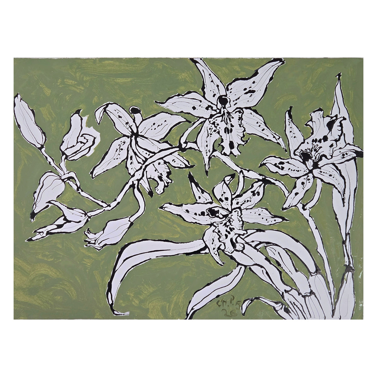 Christian Brechneff, Orchids on KRB Green I