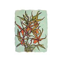 Christian Brechneff, Small Orchids on Spearmint I