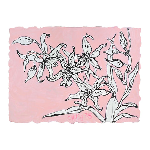 Christian Brechneff, Orchids on Vieux Rose II