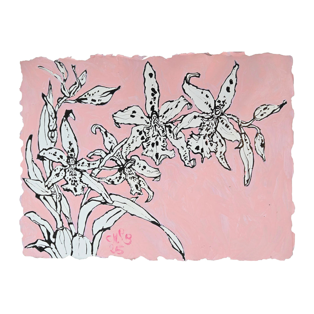 Christian Brechneff, Orchids on Vieux Rose I