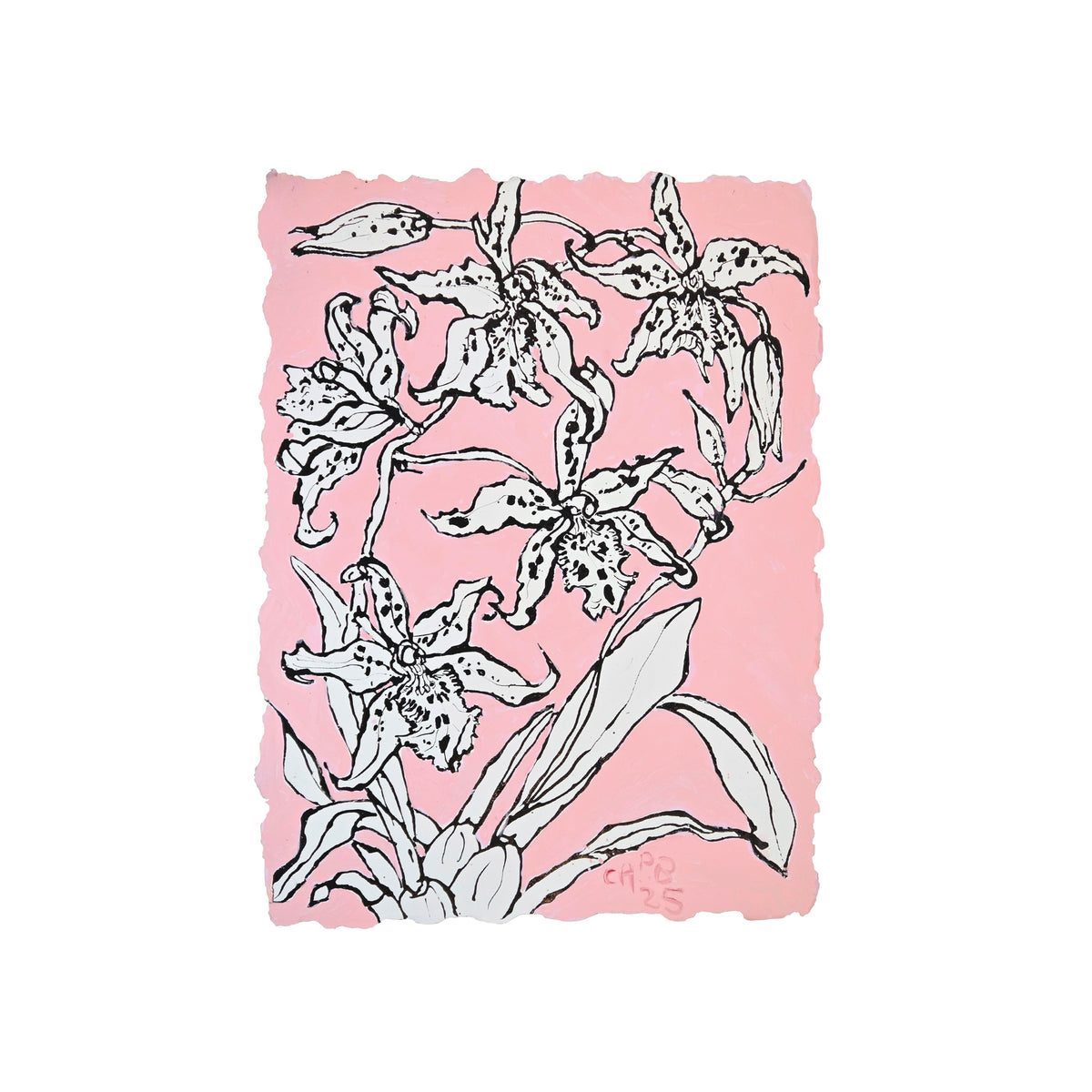 Christian Brechneff, Orchids on Vieux Rose II