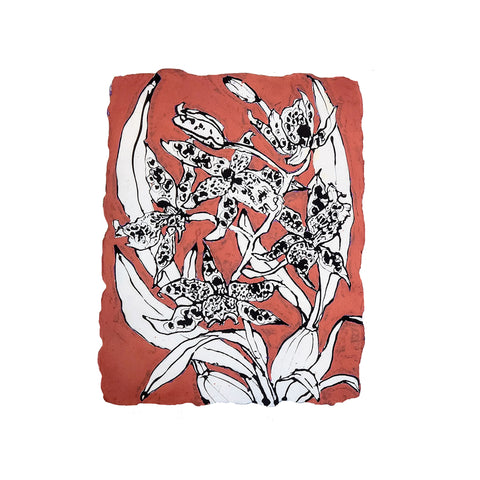 Christian Brechneff, Small Beallara Diana Dunn Newberry Orchids on Coral II