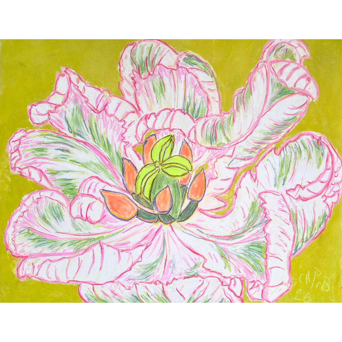 Christian Brechneff, Tulip Pastel on Chartreuse