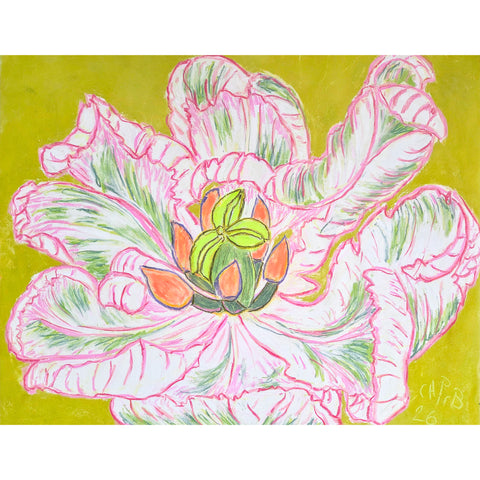 Christian Brechneff, Tulip Pastel on Chartreuse