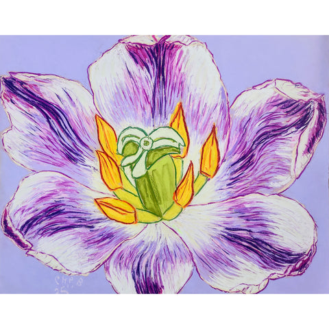 Christian Brechneff,  Tulip Pastel on Purple