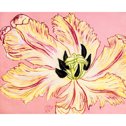 Christian Brechneff,  Tulip Pastel on Pink