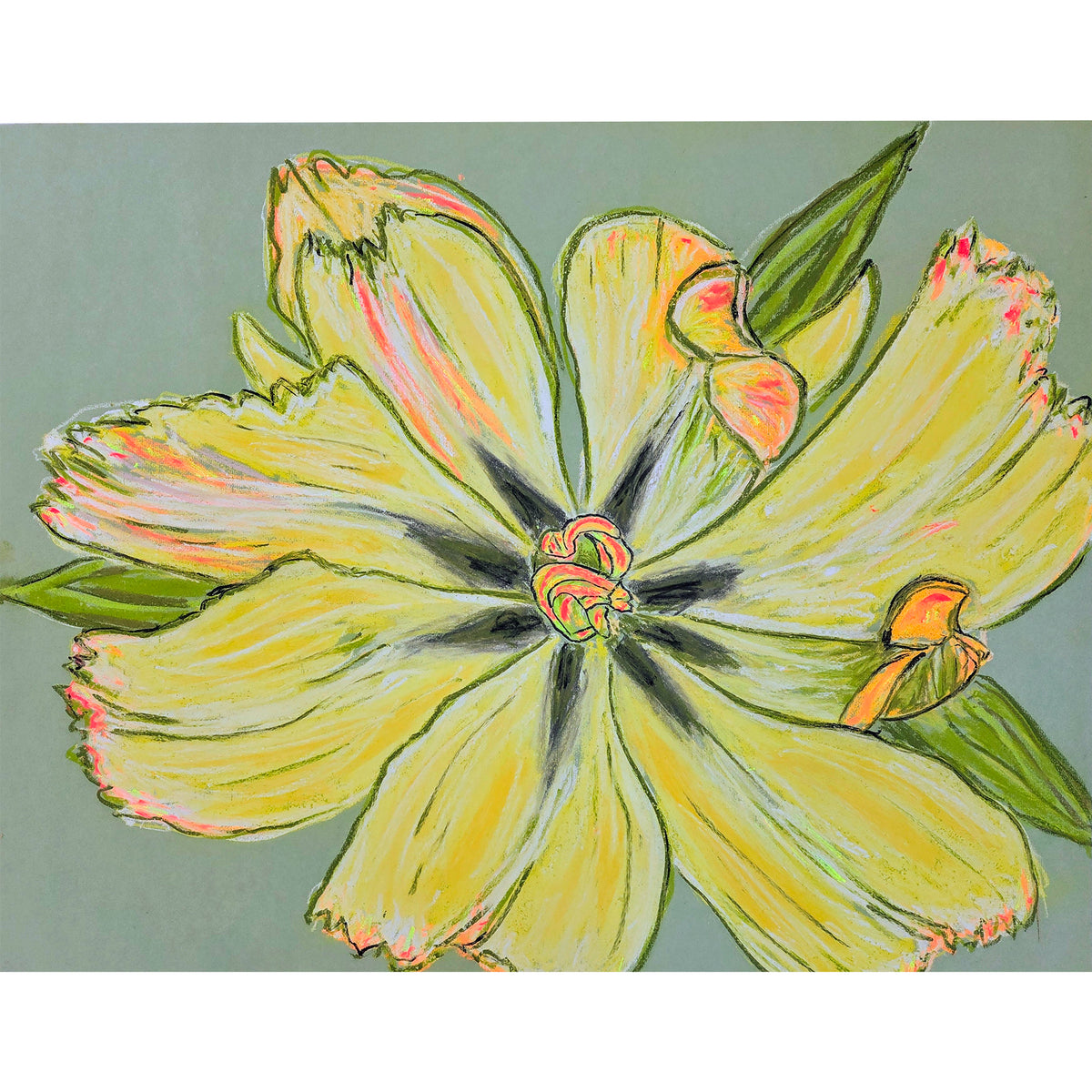 Christian Brechneff, Yellow Tulip Pastel on Pistachio I