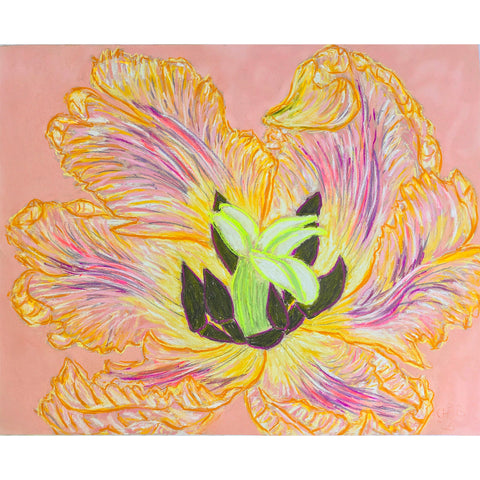 Christian Brechneff, Yellow Tulip Pastel on Pink