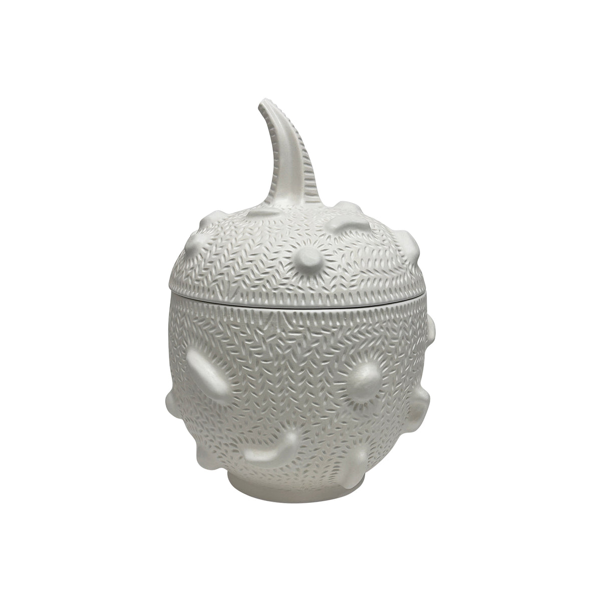 10-Inch Naturalistic Gourd in Matte White