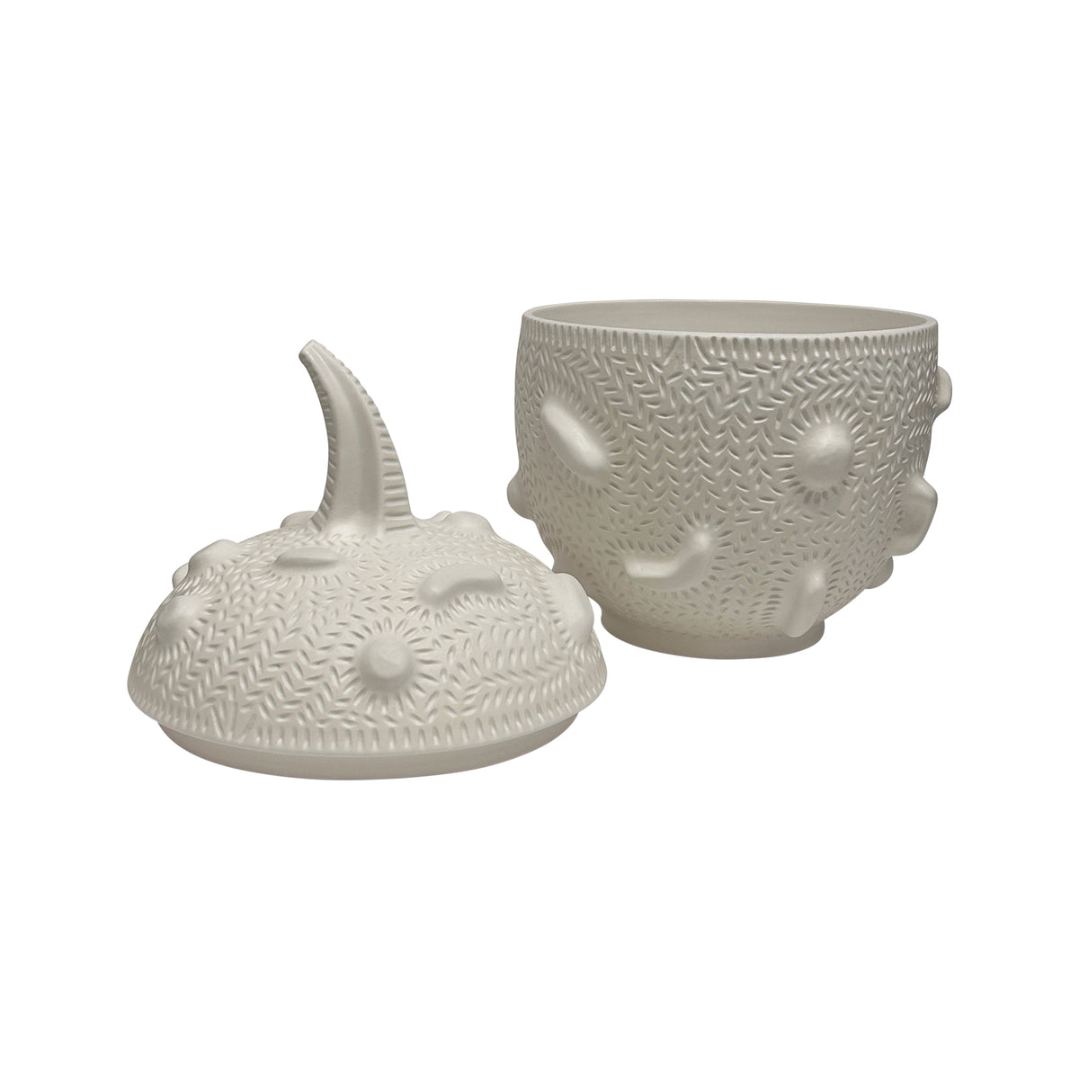 10-Inch Naturalistic Gourd in Matte White