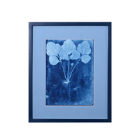 15th C. Italian Herbal Cyanotypes by Dale Goffigon