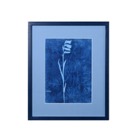 15th C. Italian Herbal Cyanotypes by Dale Goffigon