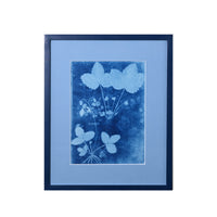 15th C. Italian Herbal Cyanotypes by Dale Goffigon