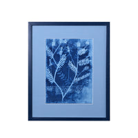 15th C. Italian Herbal Cyanotypes by Dale Goffigon