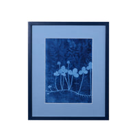 15th C. Italian Herbal Cyanotypes by Dale Goffigon
