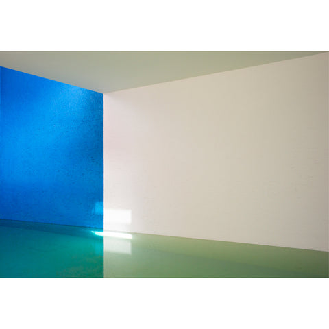 Barragan III by Dale Goffigon