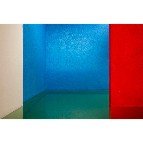 Barragan IV by Dale Goffigon