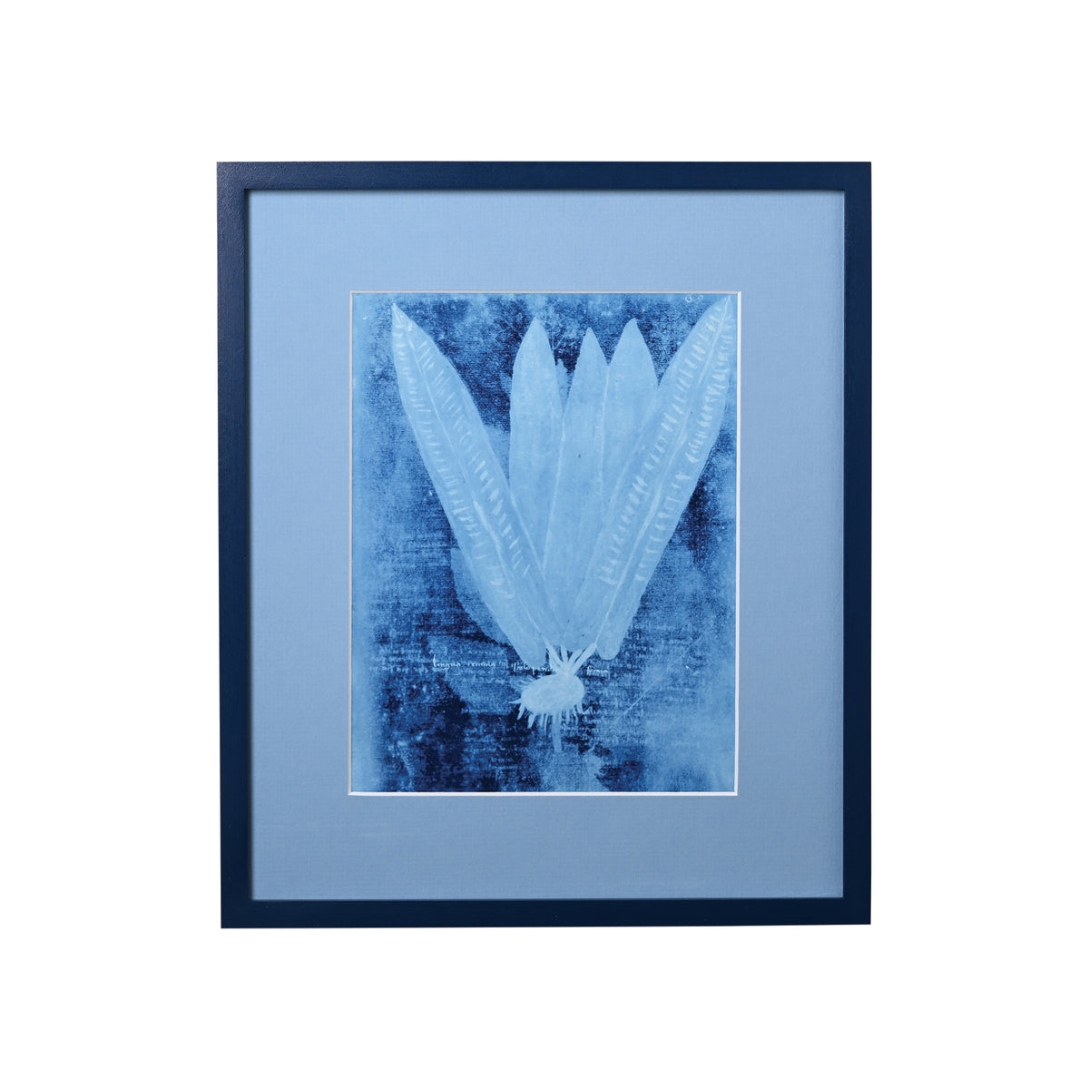 15th C. Italian Herbal Cyanotypes by Dale Goffigon  I H: 13.75" W: 11.75"