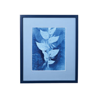 15th C. Italian Herbal Cyanotypes by Dale Goffigon  I H: 13.75" W: 11.75"