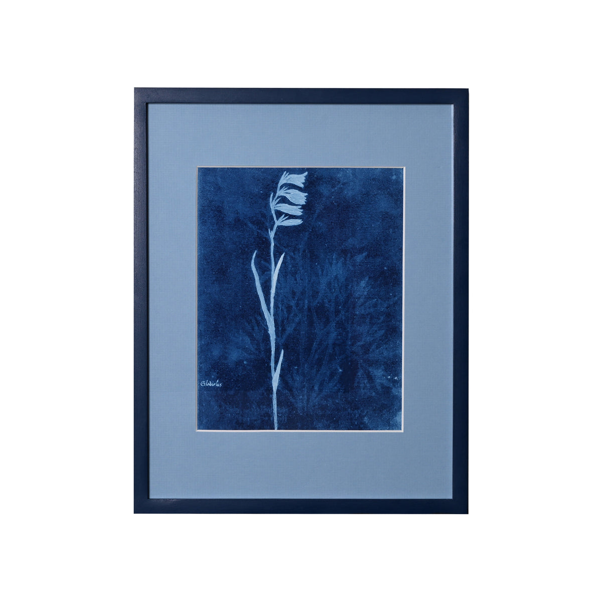 15th C. Italian Herbal Cyanotypes by Dale Goffigon