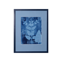 15th C. Italian Herbal Cyanotypes by Dale Goffigon