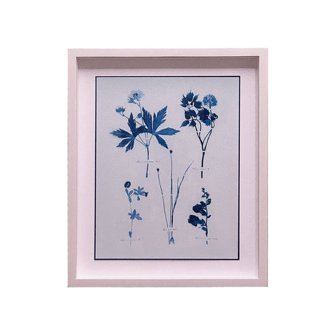 Emily Dickinson's Herbarium Cyanotypes by Dale Goffigon