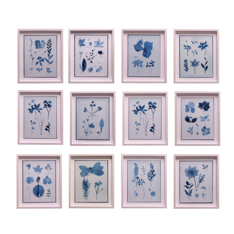 Emily Dickinson's Herbarium Cyanotypes by Dale Goffigon