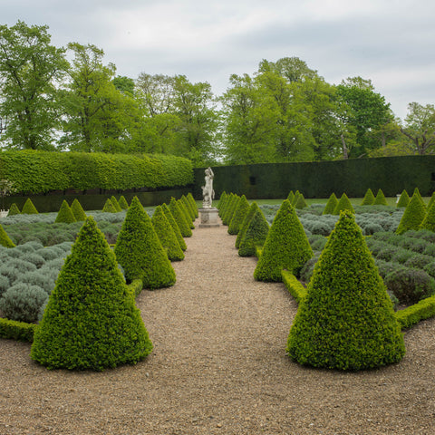 Ham House Parterre by Dale Goffigon