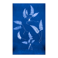 Cecilia Glaisher's Ferns Indigo Prints by Dale Goffigon