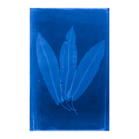 Cecilia Glaisher's Ferns Indigo Prints by Dale Goffigon