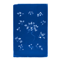 Cecilia Glaisher's Ferns Indigo Prints by Dale Goffigon