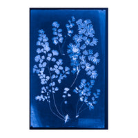 Cecilia Glaisher's Ferns Indigo Prints by Dale Goffigon