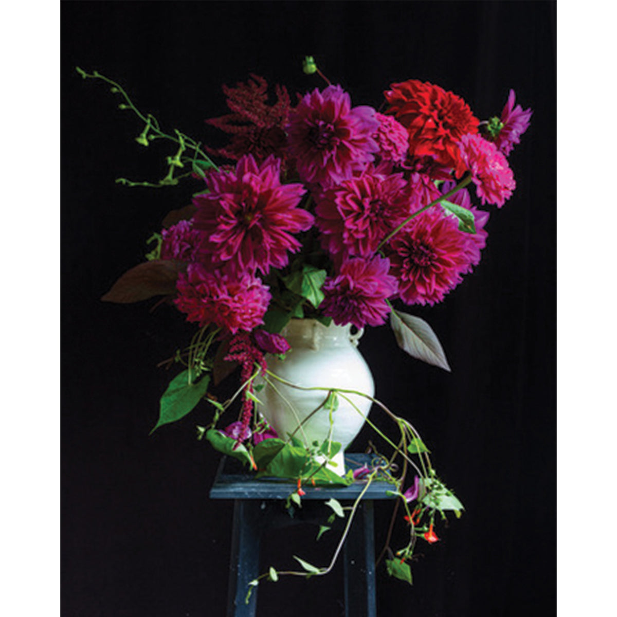 Frances Palmer, Sam Pot