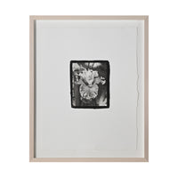 Frances Palmer, Carnival of Color Bearded Iris Platinum-Palladium Print