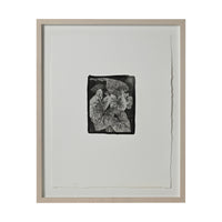 Frances Palmer, Caladiums Platinum-Palladium Print
