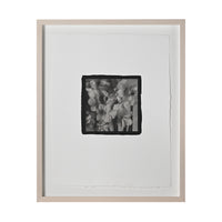 Frances Palmer, Daffodils Platinum-Palladium Print