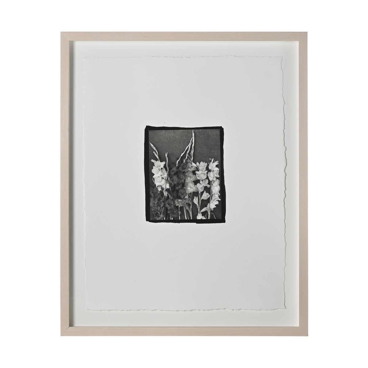 Frances Palmer, Gladioli Platinum-Palladium Print