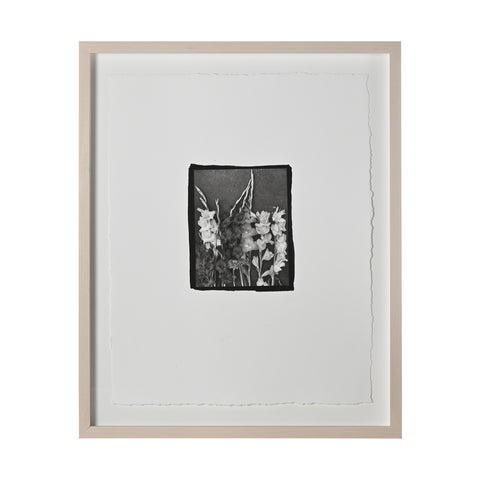 Frances Palmer, Gladioli Platinum-Palladium Print
